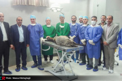 انجام اولین پیوند نانو کامپوزیت گرافن در دنیا توسط جهاددانشگاهی استان سمنان